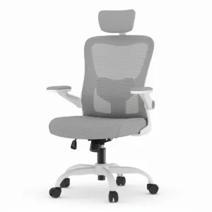 OC1 Pro Silla Ergonómica